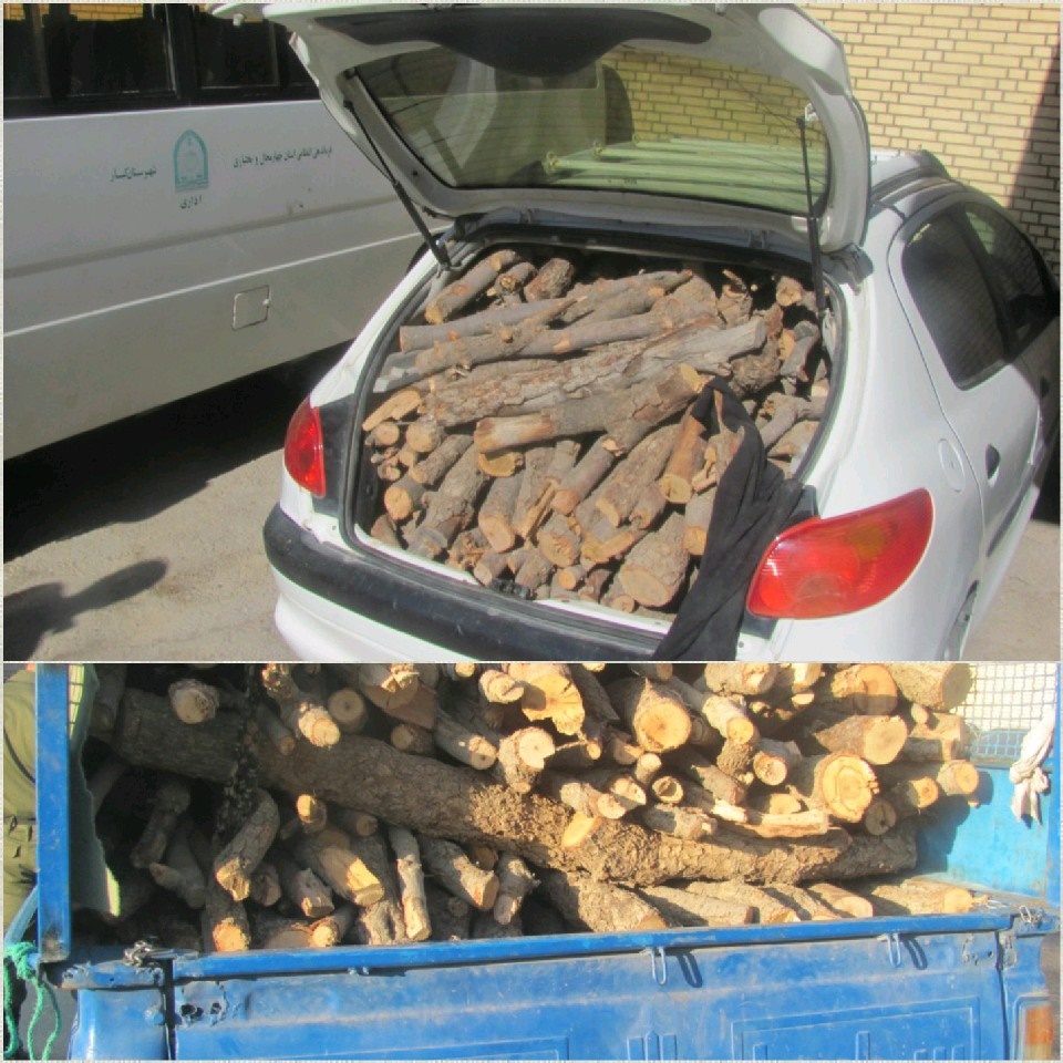 کشف 4 تن چوب جنگلی قاچاق در شهرستان کیار 