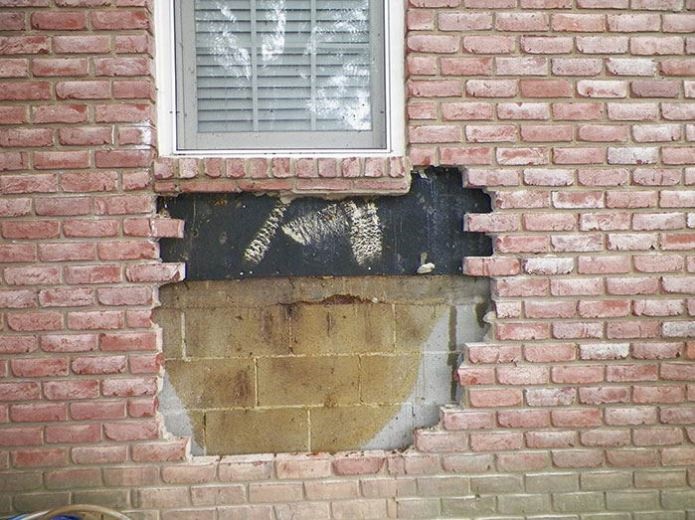 لانه کردن زنبورها در میان دیوارهای خانه‌ای در آمریکا