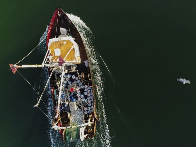 یک قایق کرجی ماهیگیری به دریاچه مونتاوک نیویورک می رود