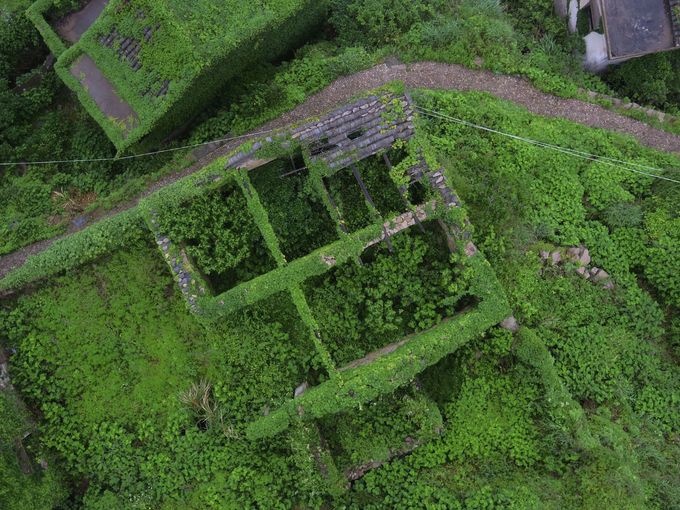 ساختمان پوشیده از گیاه در جزیره دورافتاده ای در چین