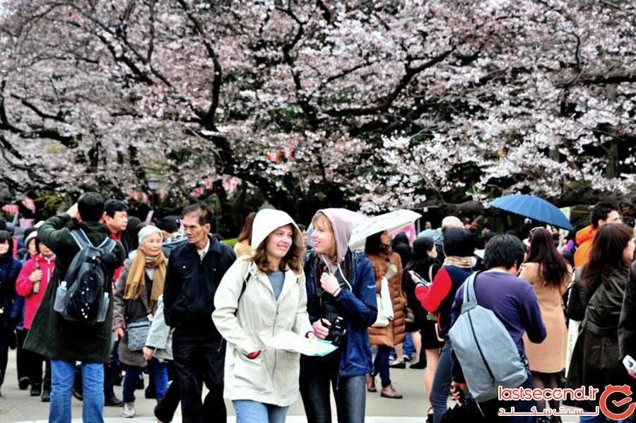 ژاپن گنجایش این همه توریست را ندارد