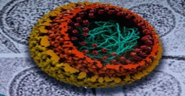درمان ایدز با کشف یک مولکول جدید در بدن انسان