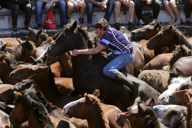 مسابقه جدال با اسب‌های وحشی  در اسپانیا
