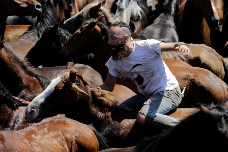 مسابقه جدال با اسب‌های وحشی  در اسپانیا