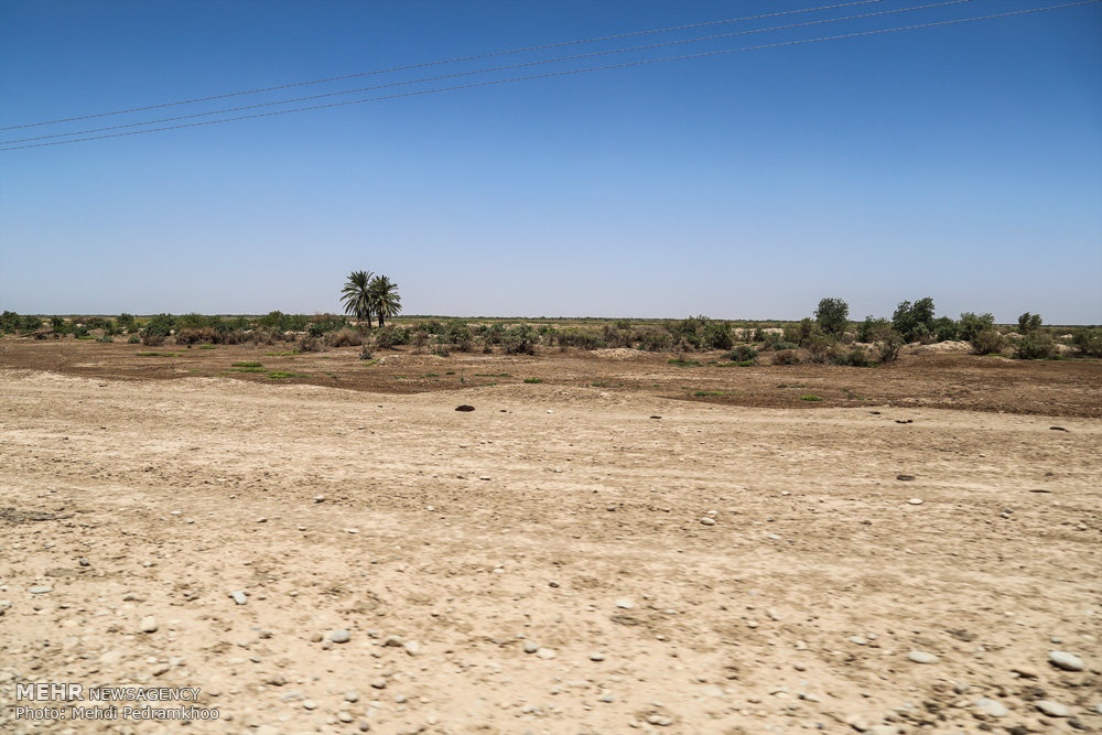 خشک شدن تدریجی تالاب های خوزستان