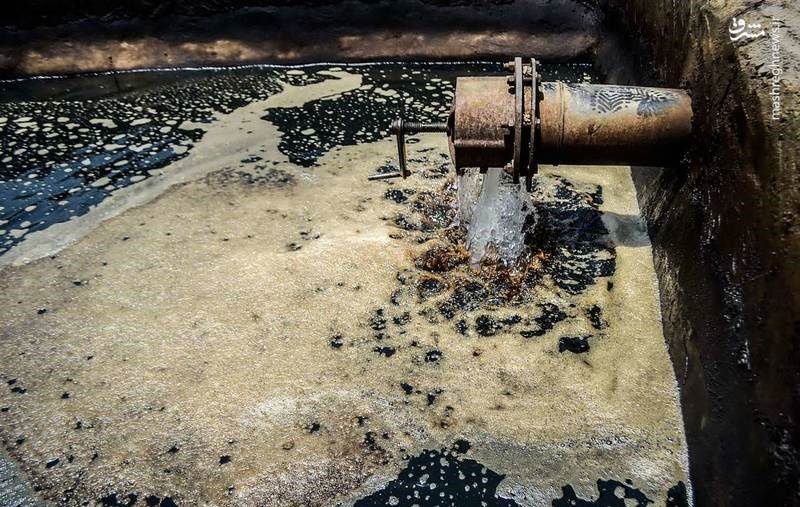  نشت نفت در مزارع جنوب تهران