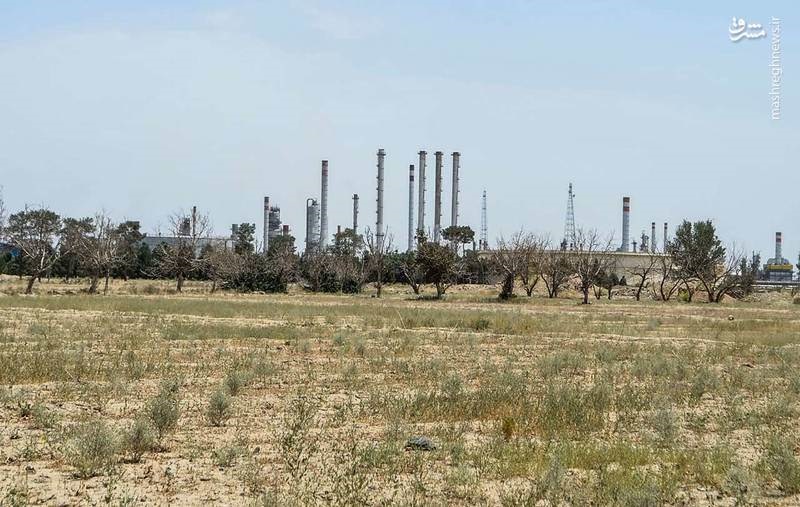 نشت نفت در مزارع جنوب تهران