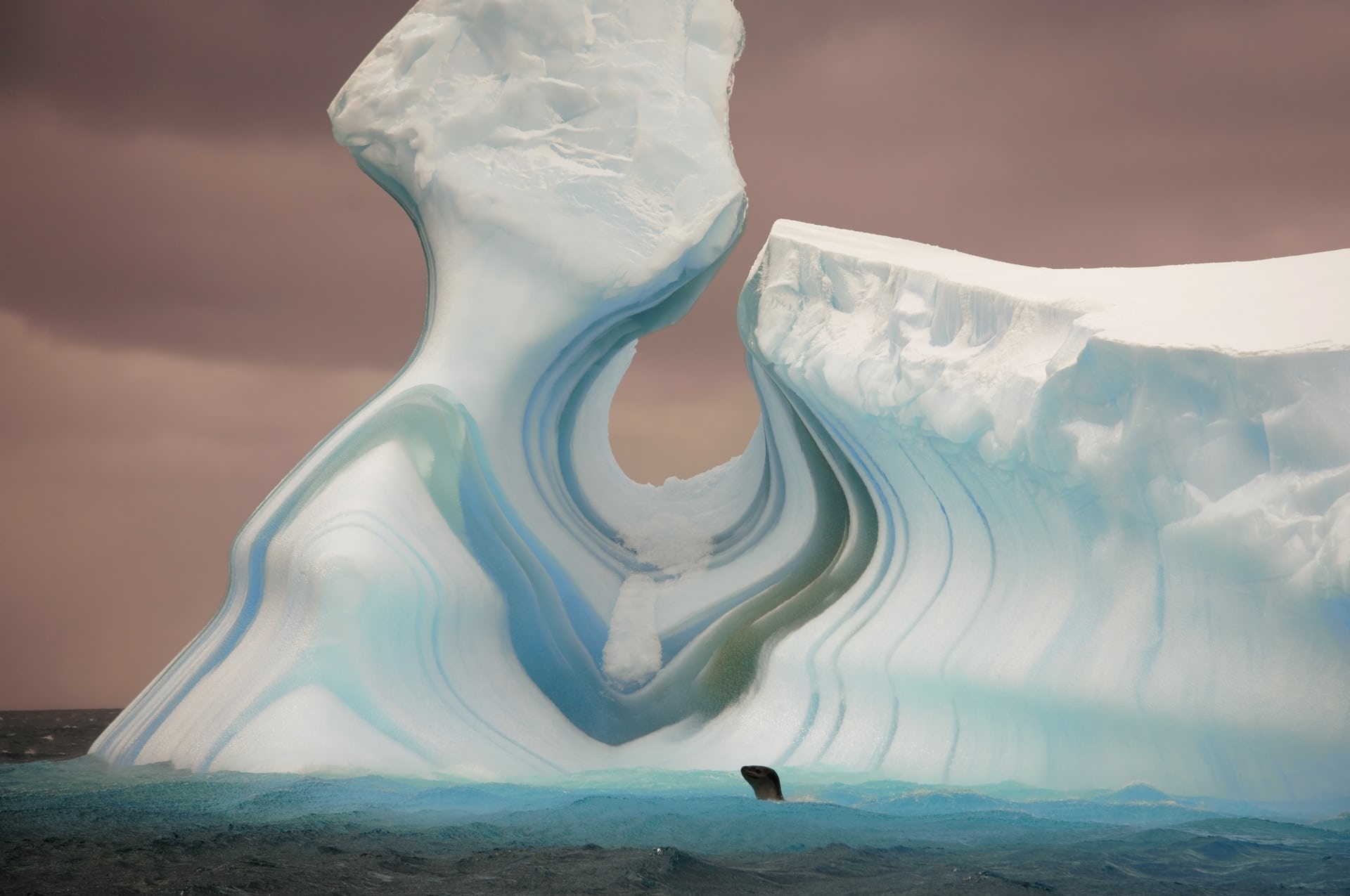 نمایشگاه عکاسی قطب جنوب