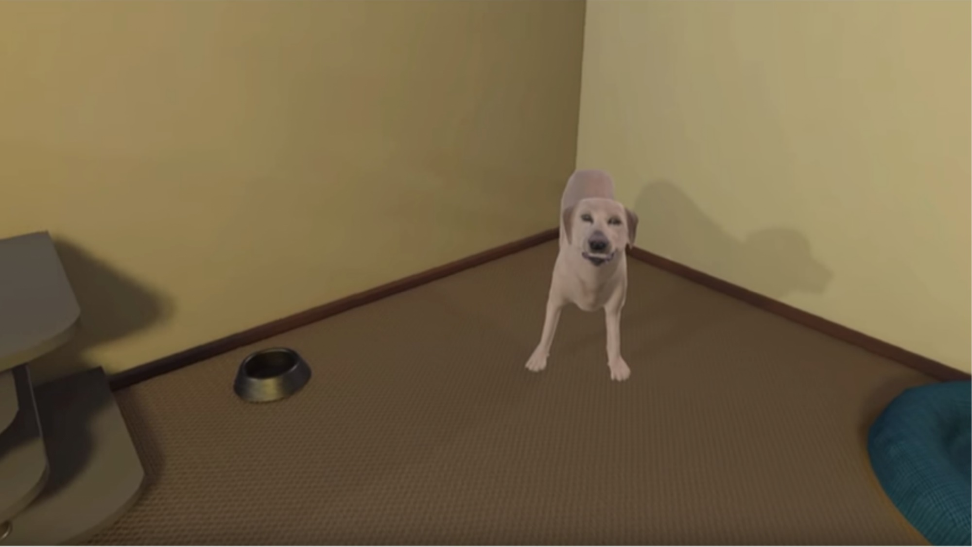 آموزش رفتار با سگ‌ها و فرار از گاز گرفتن آنها با واقعیت مجازی
