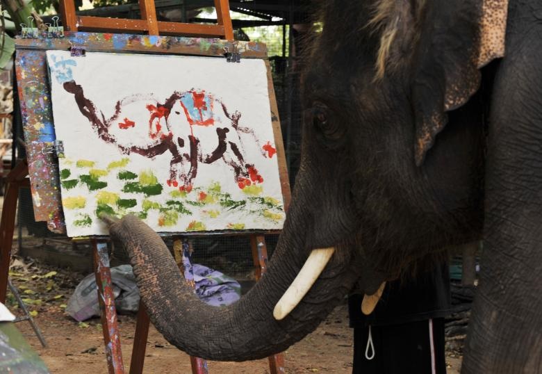 نقاشی کشیدن حیوانات