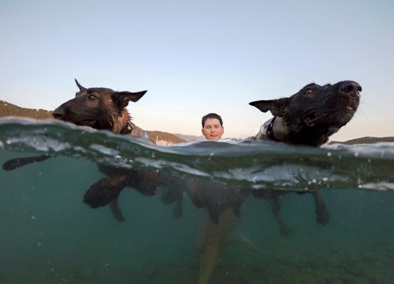 سگ‌ها و صاحب‌شان در مسابقه ساحلی زیرزمینی 2018 در کرواسی شرکت می کنند