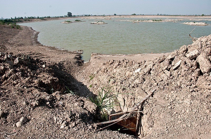 خشکی شالیزارهای مازندران