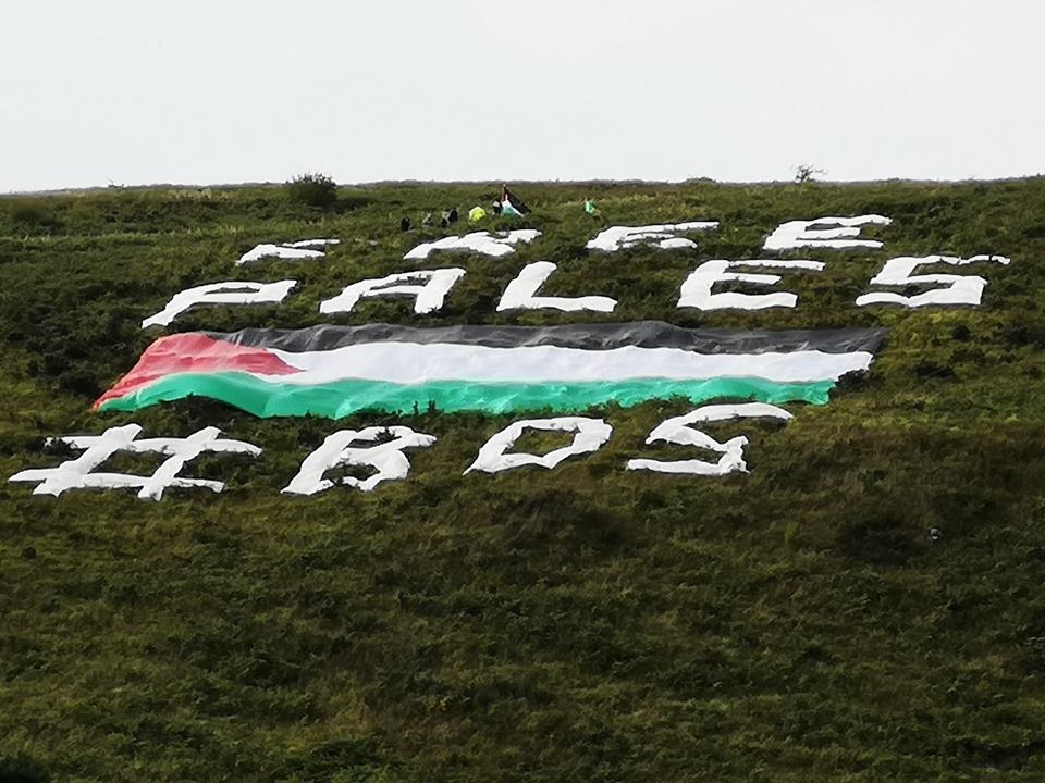 حمایت ایرلندی‌ها از فلسطین