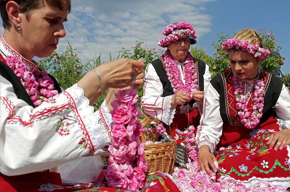 تصاویر جشنواره گلاب‌گیری بلغارستان