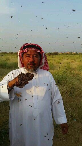 رکورد مرد عربستانی برای پوشیدن لباسی از زنبوهای عسل