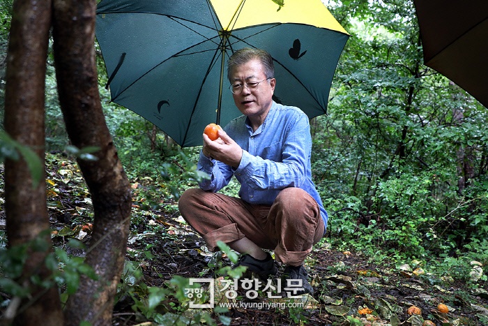 طبیعت‌گردی رئیس‌جمهور کره‌جنوبی در ژاپن