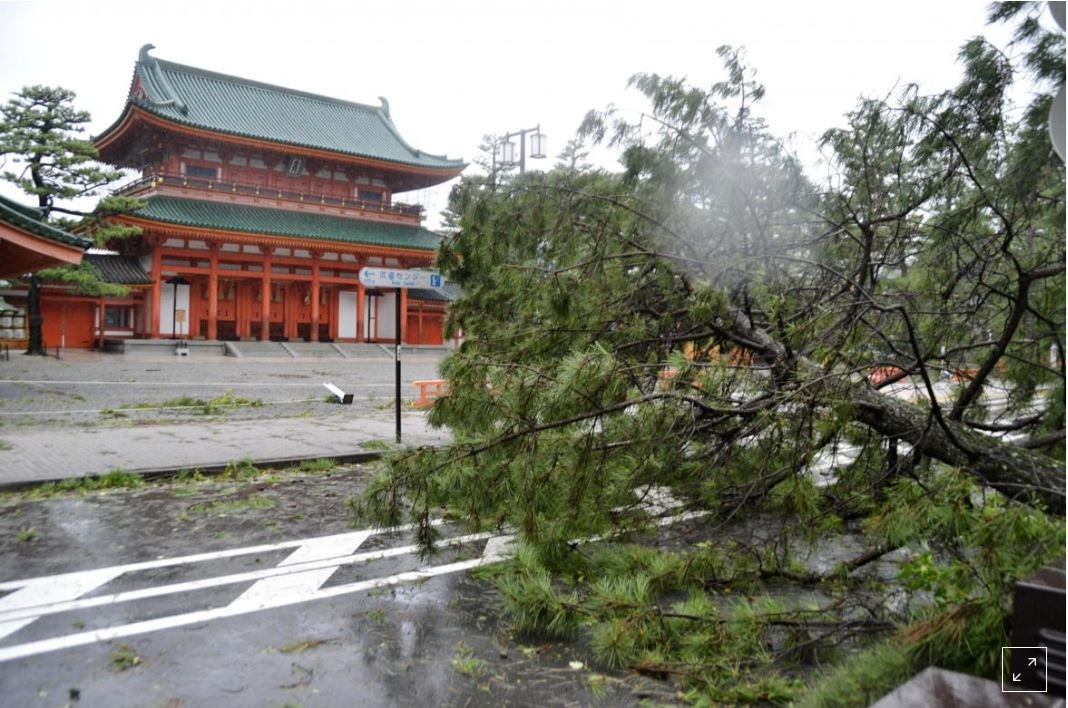 وقوع طوفان جبی در ژاپن