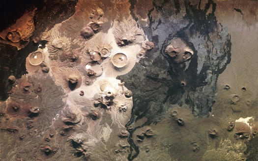 برترین تصاویر دنیای علم در سال  2009 