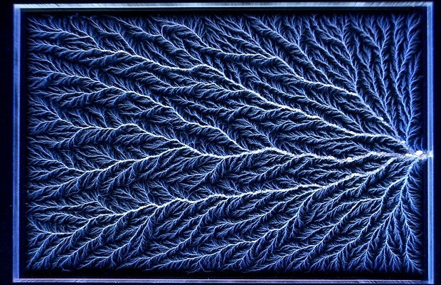 فراکتال‌های الکتریکی / گزارش تصویری