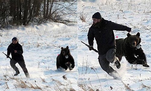 وقتی خرس عصبانی از خواب زمستانی برمی‌خیزد/گزارش تصویری