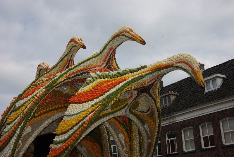 جشنواره میوه/ گزارش تصویری1