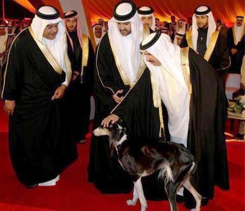 الاخبار: سرنوشت قطر در انتظار بحرین است