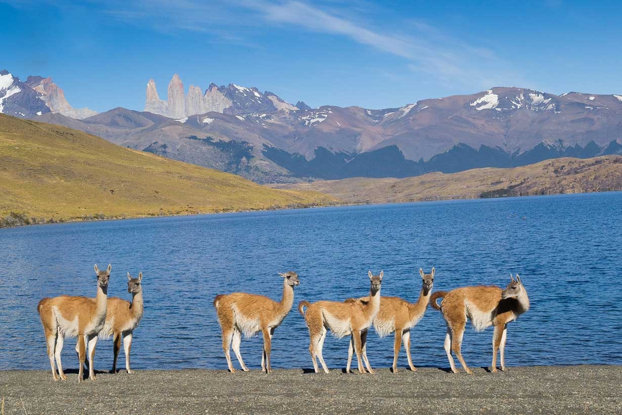 زیباترین پارک ملی شیلی، مملو از شگفتی