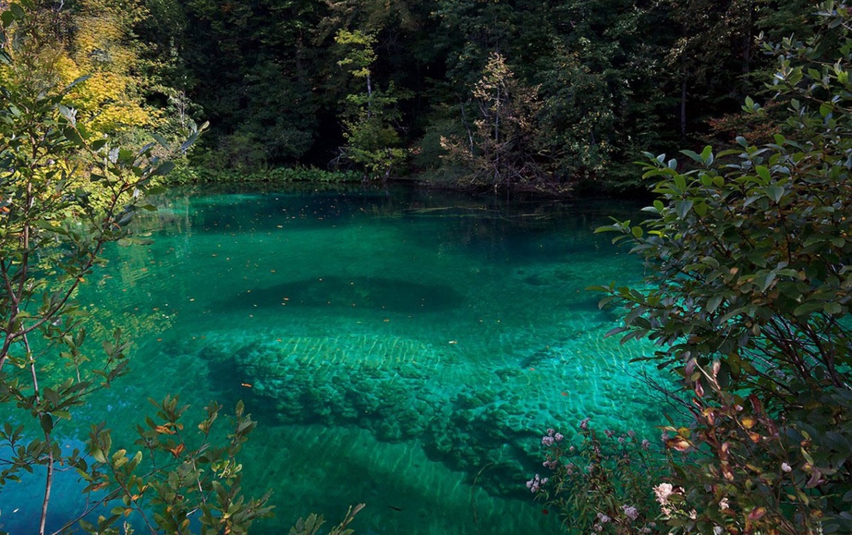Прозрачная зеленая вода. Озеро Козьяк. Плитвицкие озера Козьяк. Озеро Хыжи Туапсинский район. Хорватия Плотвицкие озёра.