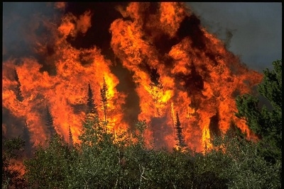 چه شد که 19 آتش‌نشان در آتش‌سوزی آریزونا زنده زنده سوختند؟
