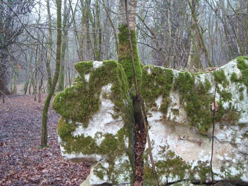 وقتی که سنگ هم حرفی برای گفتن ندارد!