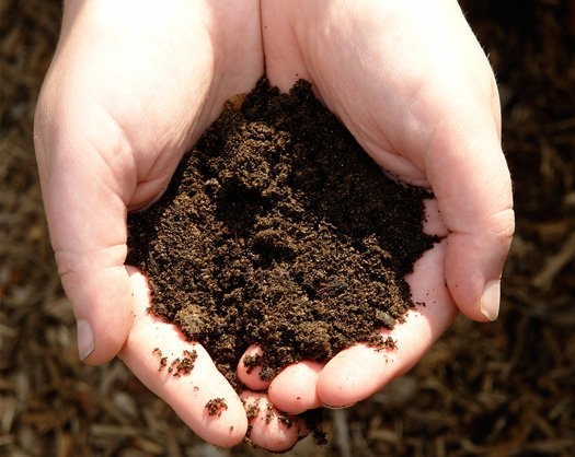 خاک باغچه خانه‌تان 2,000,000 سال عمر دارد