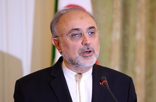 صالحی: برای پایان دادن به پرونده هسته‌ای ایران به وین آمده‌ام