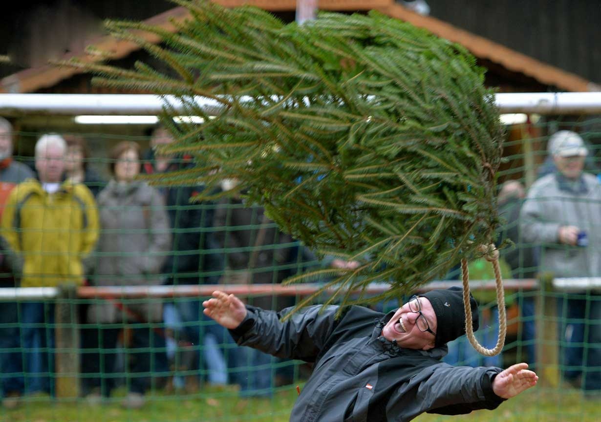 مسابقه پرتاب درخت کریسمس در آلمان