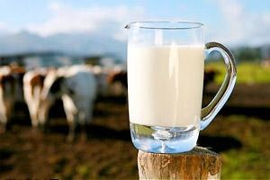 چرا شیر و لبنیات هنوز گران است؟