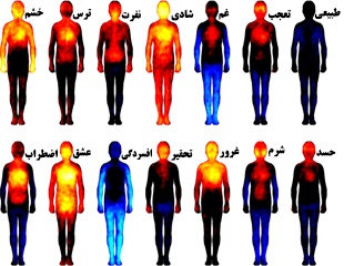 نقشه توپوگرافی احساسات و تأثیر آنها در بدن و مرز عشق و نفرت