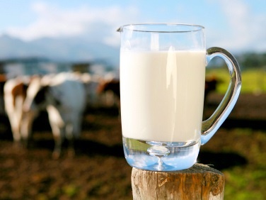11 دلیلی که شیر دیگر یک غذای جادویی نیست