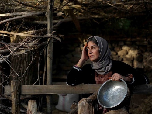 «شیار 143» همچنان فیلم منتخب تماشاگران جشنواره فجر است