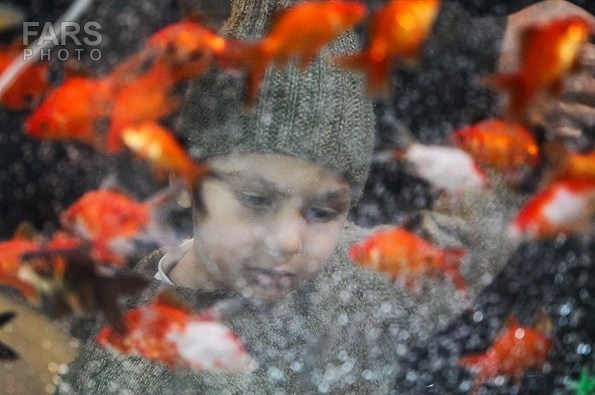 ماهی قرمز و سفره هفت سین