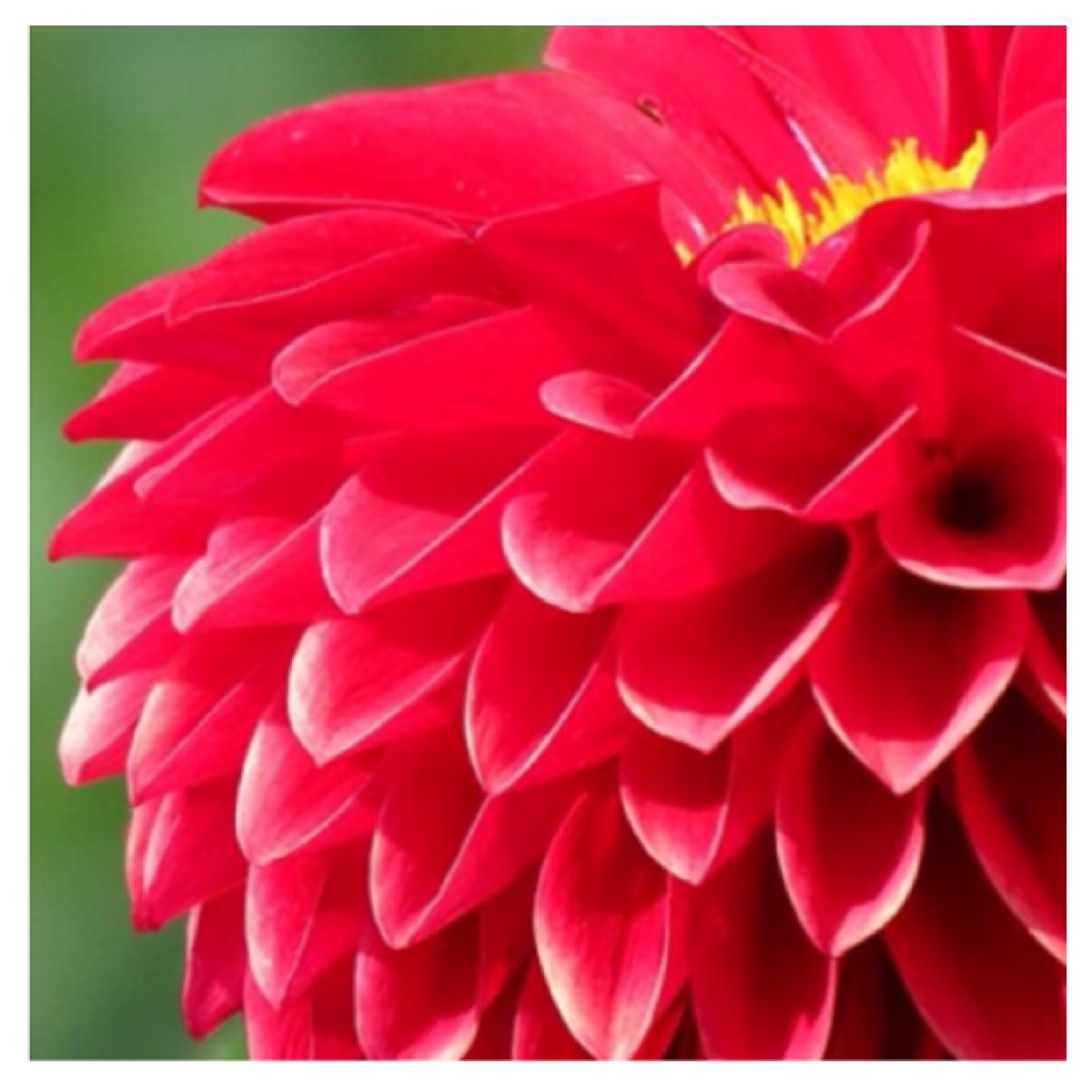 ده نکته مهم ؛ ده اصل زندگی