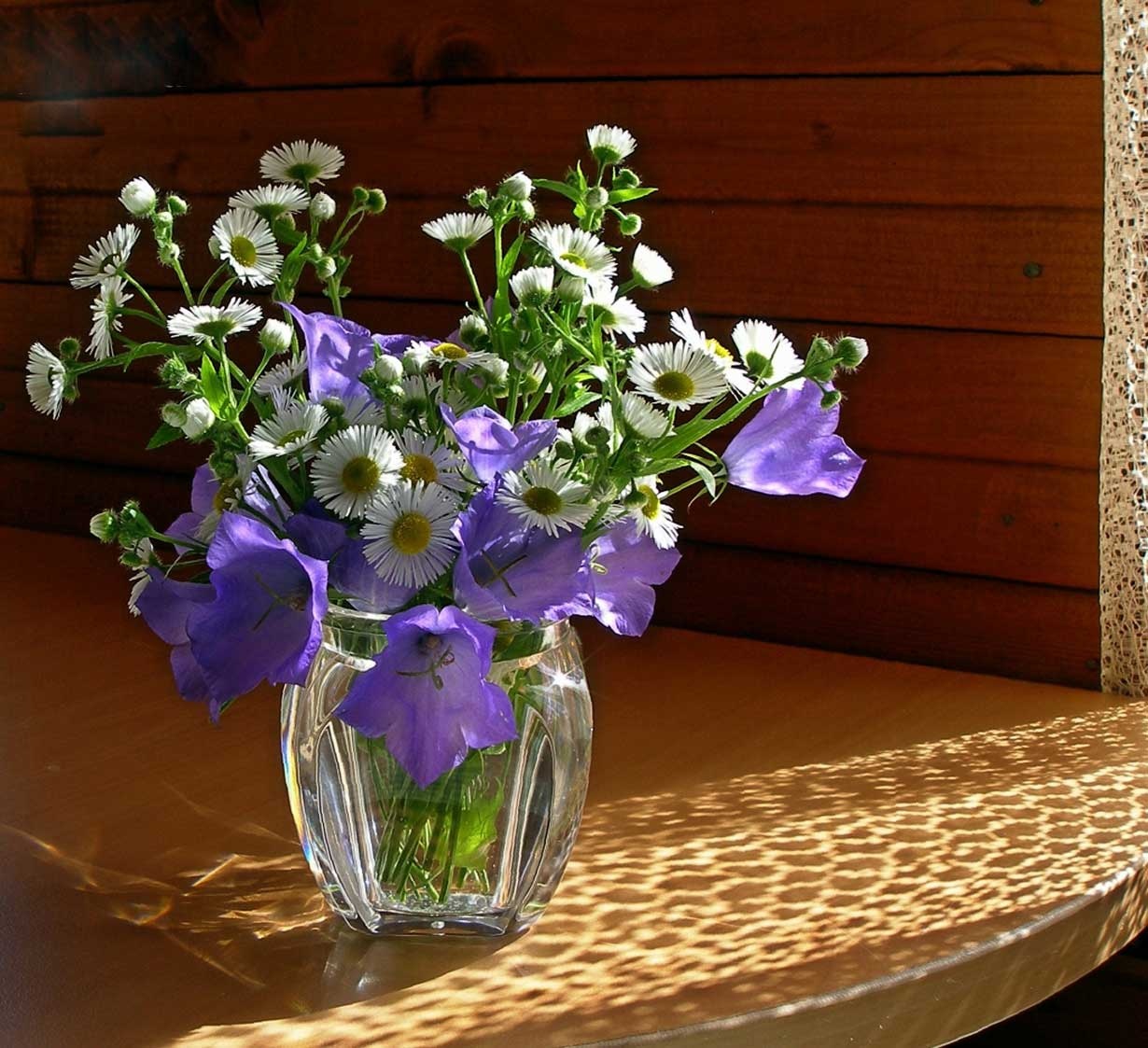 Image result for ?گل های بسیار زیبا در گلدان های زیبا?‎
