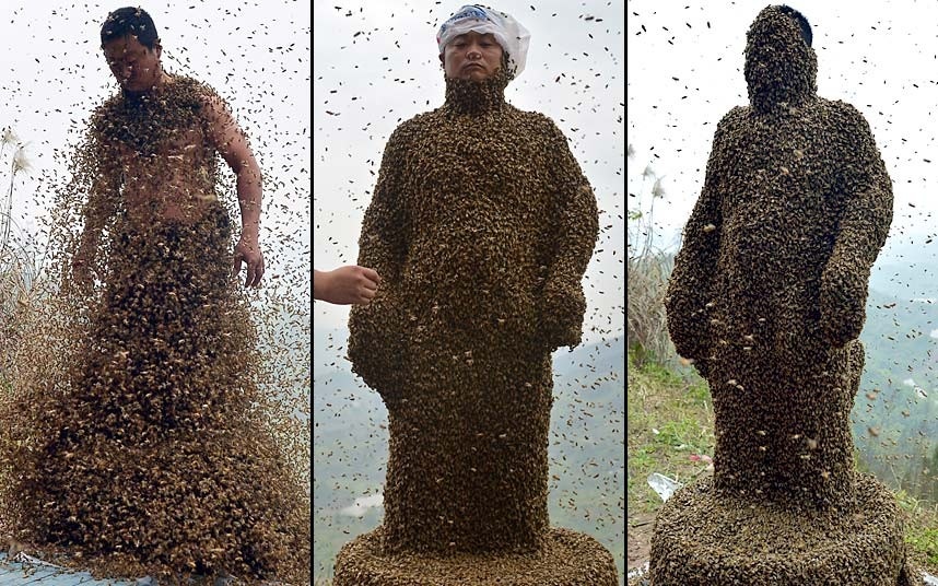 460 هزار زنبور روی بدن این مرد نشسته است، ببینید