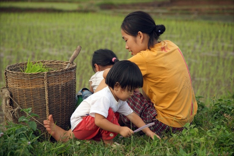 پیش‌بینی سازمان اطلاعات آمریکا از نرخ باروری زنان؛ ایران هم‌رتبه با انگلیس، نروژ، سوئد