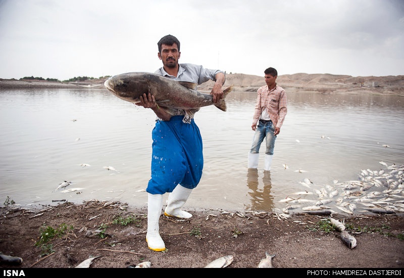 ماهی‌های فاضلابی فشافویه، سر سفره تهرانی ها/ چه کسی به فکر سلامت مردم است؟