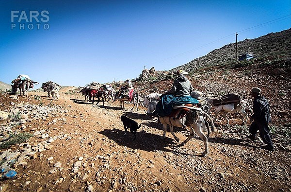 کوچ عشایر قشقایی در ارتفاعات سپیدان