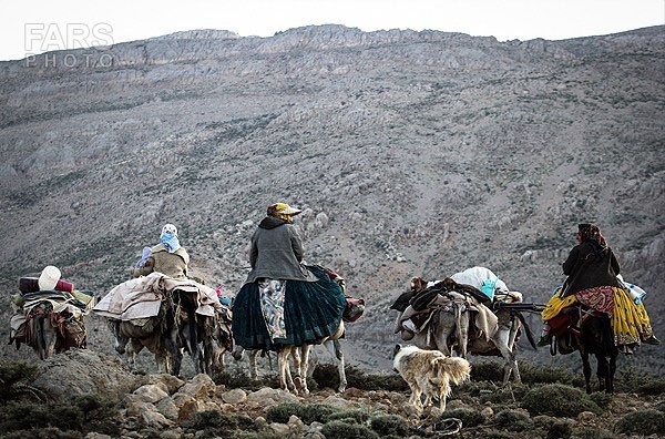 کوچ عشایر قشقایی در ارتفاعات سپیدان