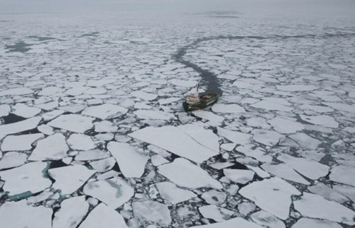 سرعت ذوب یخ های قطب جنوب دو برابر شده/چه کشورهایی زیرآب می روند؟