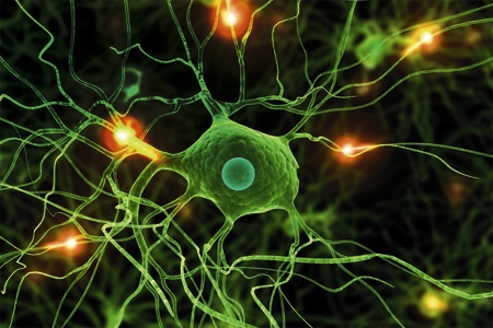 کدام کشورها بیشترین مبتلایان به ام اس را دارند؟ / ترس از ام اس در ایران رکورد دار است