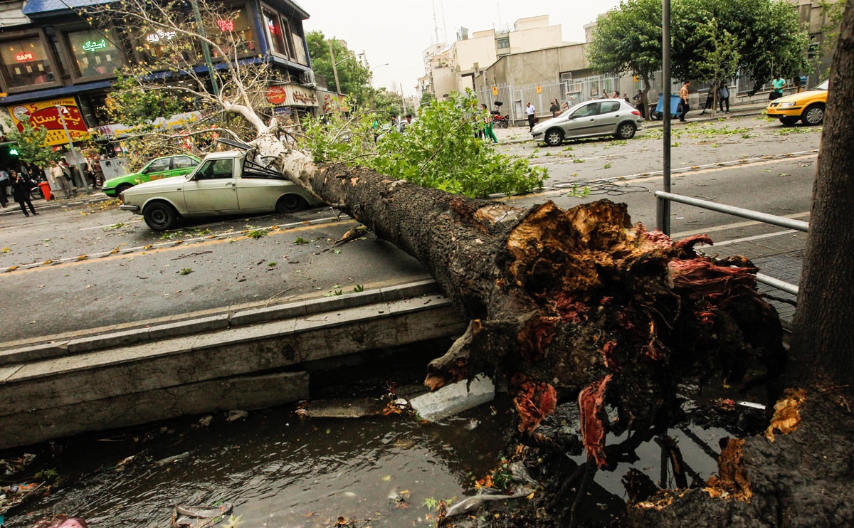 تایید مرگ ۴ نفر/ برق در ۴ منطقه تهران قطع است/ سقوط ۴۰ درخت در نقاط ترافیکی پایتخت