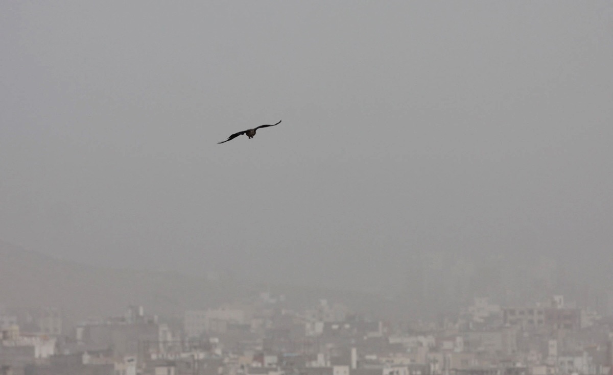 هوای تهران همچنان ناسالم/ غبار باقی است/ گرد و خاک در ۵ استان