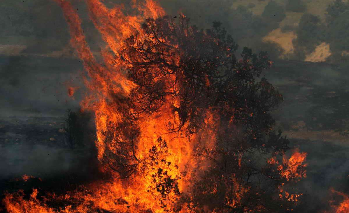 امکانات نیست، محیط بان نیست، پس گلستان در آتش می سوزد/ آتش سوزی عمدی جنگل، اقدام علیه امنیت ملی است
